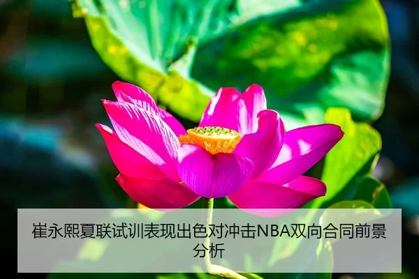 崔永熙夏联试训表现出色对冲击NBA双向合同前景分析（Kaiyun Sports）