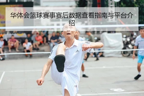 华体会篮球赛事赛后数据查看指南与平台介绍