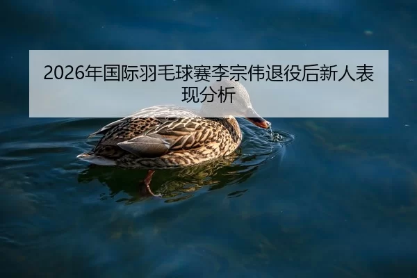 2026年国际羽毛球赛李宗伟退役后新人表现分析