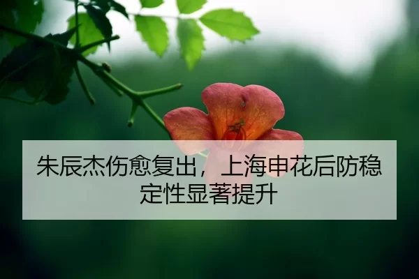 zhu-chen-jie-shang-yu-fu-chu-shang-hai-shen-hua-hou-fang-wen-ding-xing-xian-zhu-ti-sheng-2-184.jpg