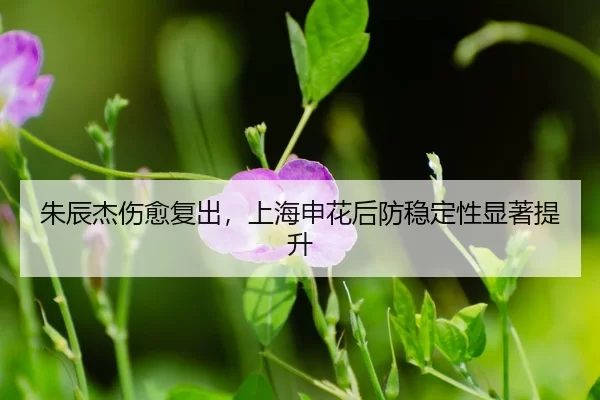 zhu-chen-jie-shang-yu-fu-chu-shang-hai-shen-hua-hou-fang-wen-ding-xing-xian-zhu-ti-sheng-3-290.jpg