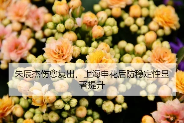 朱辰杰伤愈复出，上海申花后防稳定性显著提升